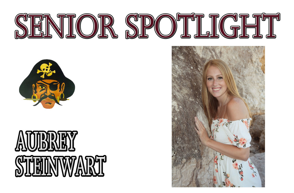 Steinwart To Study Applied Science After Graduation