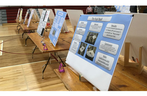 2019 Elwood Science Fair