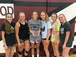 2018 Volleyball Team Wins AVCA Award